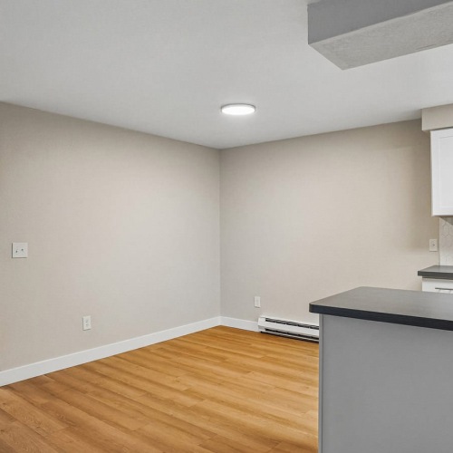 dining area and kitchen