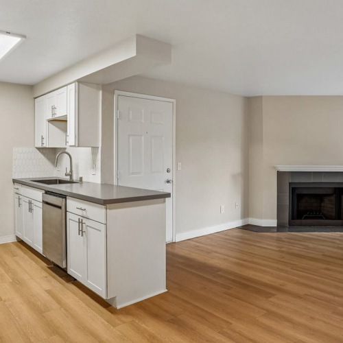 well lit kitchen and living room