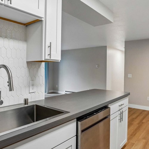 single basin sink in kitchen