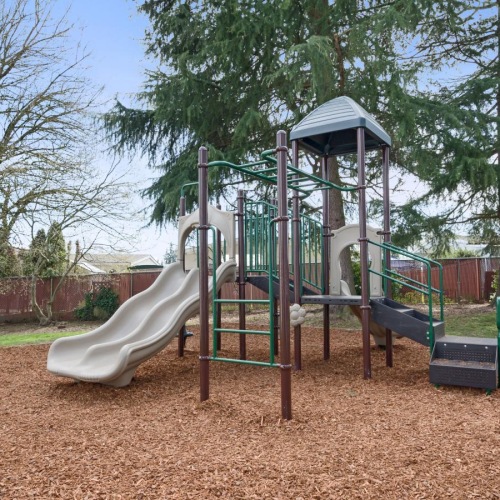 a playground with a slide